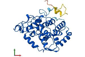 AlphaFold protein structure predicition of Mouse Recombinant Miox Protein, UniprotID Q9QXN5