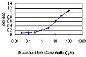 Detection limit for recombinant GST tagged MAPK13 is approximately 0.