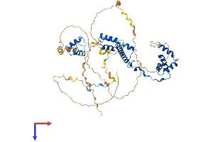AlphaFold protein structure predicition of Human Recombinant RCOR2 Protein, UniprotID Q8IZ40