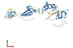 AlphaFold protein structure predicition of Human Recombinant CNNM4 Protein, UniprotID Q6P4Q7