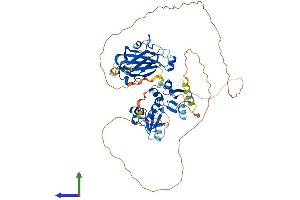 AlphaFold protein structure predicition of Human Recombinant XRCC1 Protein, UniprotID P18887