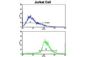 Flow Cytometry (FACS) image for anti-Cat Eye Syndrome Chromosome Region, Candidate 5 (CECR5) antibody (ABIN3003803)