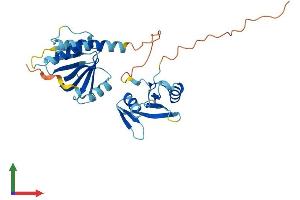 AlphaFold protein structure predicition of Mouse Recombinant Stap1 Protein, UniprotID Q9JM90