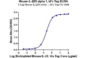 Immobilized Mouse IL-22R alpha 1, hFc Tag at 5 μg/mL (100 μL/well) on the plate.