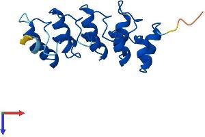 AlphaFold protein structure predicition of Mouse Recombinant Cdkn2c Protein, UniprotID Q60772