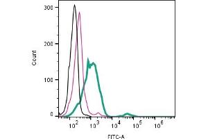 Cell surface detection of Beta 2 Na+/K+ ATPase by direct flow cytometry in live intact human KU812 basophil cell line: + Rabbit IgG Isotype Control-FITC (ABIN7582044).