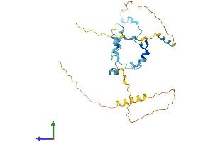 AlphaFold protein structure predicition of Mouse Recombinant Med19 Protein, UniprotID Q8C1S0