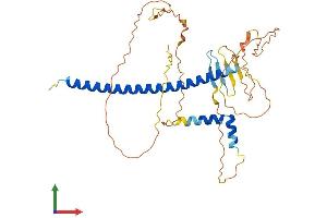 AlphaFold protein structure predicition of Mouse Recombinant Crem Protein, UniprotID P27699