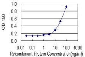 Detection limit for recombinant GST tagged ADH5 is 1 ng/ml as a capture antibody.