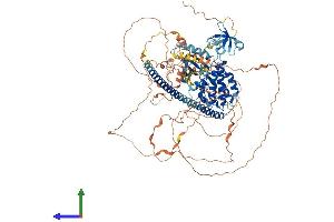 AlphaFold protein structure predicition of Mouse Recombinant Map3k10 Protein, UniprotID Q66L42