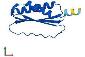 AlphaFold protein structure predicition of Human Recombinant DYNLT1 Protein, UniprotID P63172