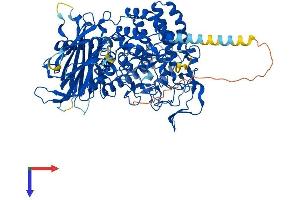 AlphaFold protein structure predicition of Human Recombinant MOGS Protein, UniprotID Q13724