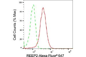 Flow cytometric analysis of REEP2 expression in HeLa cells using REEP2 antibody (ABIN7800153), 1:1,000). (REEP2 anticorps)