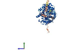 AlphaFold protein structure predicition of Human Recombinant SLC6A7 Protein, UniprotID Q99884