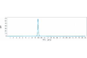 The purity of Anti-ICAM1 / CD54 Reference Antibody (bersanlimab) is 100 % , determined by SEC-HPLC. (Recombinant ICAM1 (Bersanlimab Biosimilar) anticorps)
