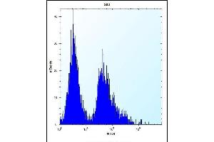 GSTT1 Antibody (N-term) (ABIN656825 and ABIN2846035) flow cytometric analysis of 293 cells (right histogram) compared to a negative control cell (left histogram).