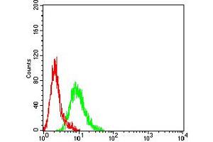 Flow cytometric analysis of K562 cells using RUNX1 mouse mAb (green) and negative control (red).