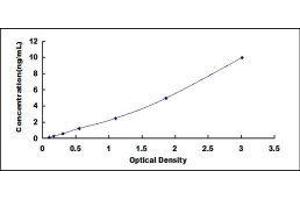 ELISA image for Glutamate Decarboxylase 1 (Brain, 67kDa) (GAD1) ELISA Kit (ABIN418569)