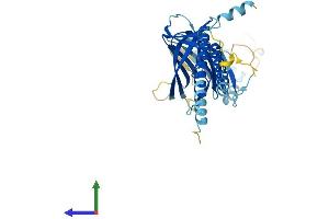 AlphaFold protein structure predicition of Mouse Recombinant Ergic3 Protein, UniprotID Q9CQE7