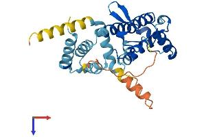 AlphaFold protein structure predicition of Human Recombinant ARHGAP11B Protein, UniprotID Q3KRB8