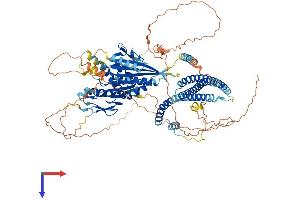 AlphaFold protein structure predicition of Human Recombinant KIF18A Protein, UniprotID Q8NI77