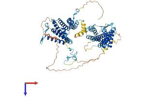 AlphaFold protein structure predicition of Human Recombinant SRP68 Protein, UniprotID Q9UHB9