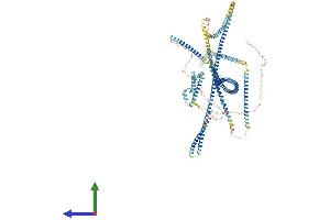 AlphaFold protein structure predicition of Human Recombinant ERC1 Protein, UniprotID Q8IUD2