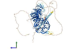 AlphaFold protein structure predicition of Human Recombinant EML4 Protein, UniprotID Q9HC35