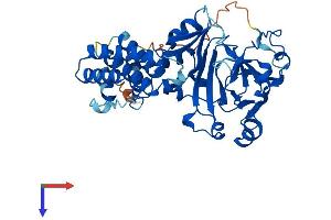AlphaFold protein structure predicition of Human Recombinant KDM8 Protein, UniprotID Q8N371