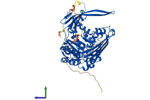 AlphaFold protein structure predicition of Human Recombinant ISYNA1 Protein, UniprotID Q9NPH2