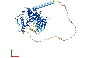 AlphaFold protein structure predicition of Human Recombinant CDKL4 Protein, UniprotID Q5MAI5
