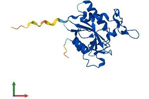 AlphaFold protein structure predicition of Mouse Recombinant Ntaq1 Protein, UniprotID Q80WB5