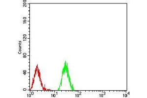 Flow cytometric analysis of Raji cells using HIST2H3C(27Ac) mouse mAb (green) and negative control (red). (Histone Cluster 2, H3c (HIST2H3C) (acLys27) anticorps)