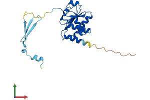 AlphaFold protein structure predicition of Mouse Recombinant Dusp19 Protein, UniprotID Q8K4T5