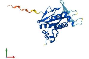 AlphaFold protein structure predicition of Human Recombinant JOSD2 Protein, UniprotID Q8TAC2