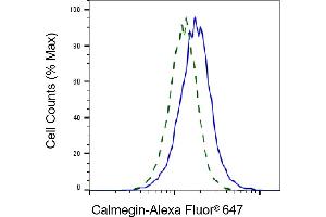 Validation of Calmegin knockdown using flow cytometry. (Recombinant Calmegin anticorps)