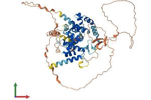 AlphaFold protein structure predicition of Human Recombinant TBC1D3F Protein, UniprotID A6NER0