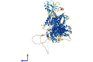 AlphaFold protein structure predicition of Mouse Recombinant Tbc1d8 Protein, UniprotID Q9Z1A9