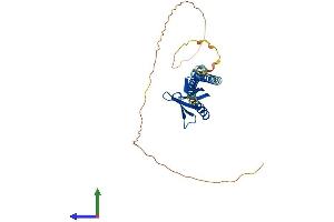 AlphaFold protein structure predicition of Human Recombinant PLEKHA3 Protein, UniprotID Q9HB20