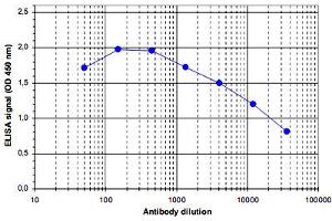 ELISA was performed using a serial dilution of Ash2l polyclonal antibody . (ASH2L anticorps)