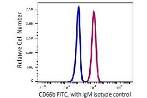 Flow Cytometry (FACS) image for anti-Carcinoembryonic Antigen-Related Cell Adhesion Molecule 8 (CEACAM8) antibody (FITC) (ABIN6253063)