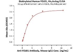 Immobilized Folic acid-BSA conjugate at 5 μg/mL (100 μL/well) can bind Biotinylated Human FOLR1, His,Avitag (ABIN5954995,ABIN6253622) with a linear range of 8-125 ng/mL (QC tested).