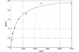 Dickkopf-Like 1 (DKKL1) ELISA Kit