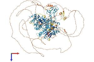 AlphaFold protein structure predicition of Human Recombinant POGZ Protein, UniprotID Q7Z3K3