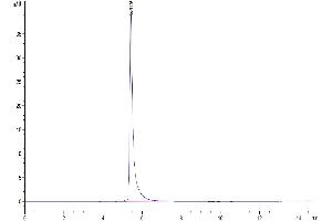 The purity of Mouse ITGAV&ITGB6 is greater than 95 % as determined by SEC-HPLC.