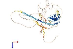 AlphaFold protein structure predicition of Human Recombinant TSPYL2 Protein, UniprotID Q9H2G4