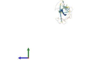 AlphaFold protein structure predicition of Mouse Recombinant Ofd1 Protein, UniprotID Q80Z25
