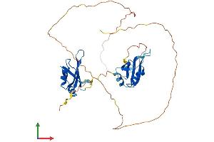 AlphaFold protein structure predicition of Mouse Recombinant Msi1 Protein, UniprotID Q61474