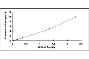 Typical standard curve (SDCBP2 Kit ELISA)
