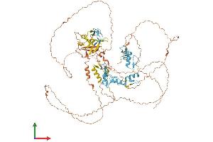 AlphaFold protein structure predicition of Mouse Recombinant Prdm4 Protein, UniprotID Q80V63